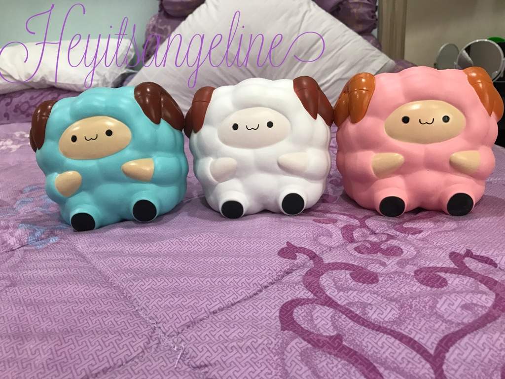 mini pat pat zoo