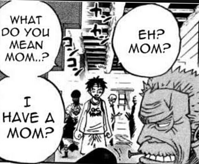 Luffy S Mom One Piece Amino