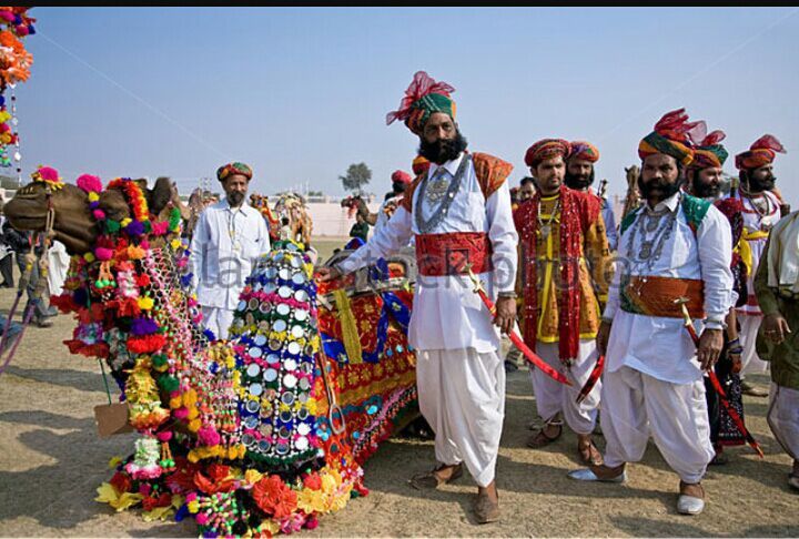 rajasthani angrakha