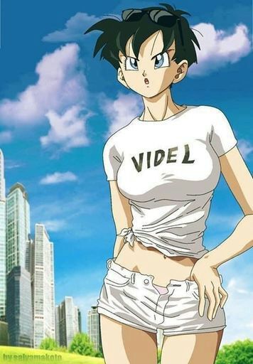 Videl Hot Sexy Teen Dragonballz Amino 2963