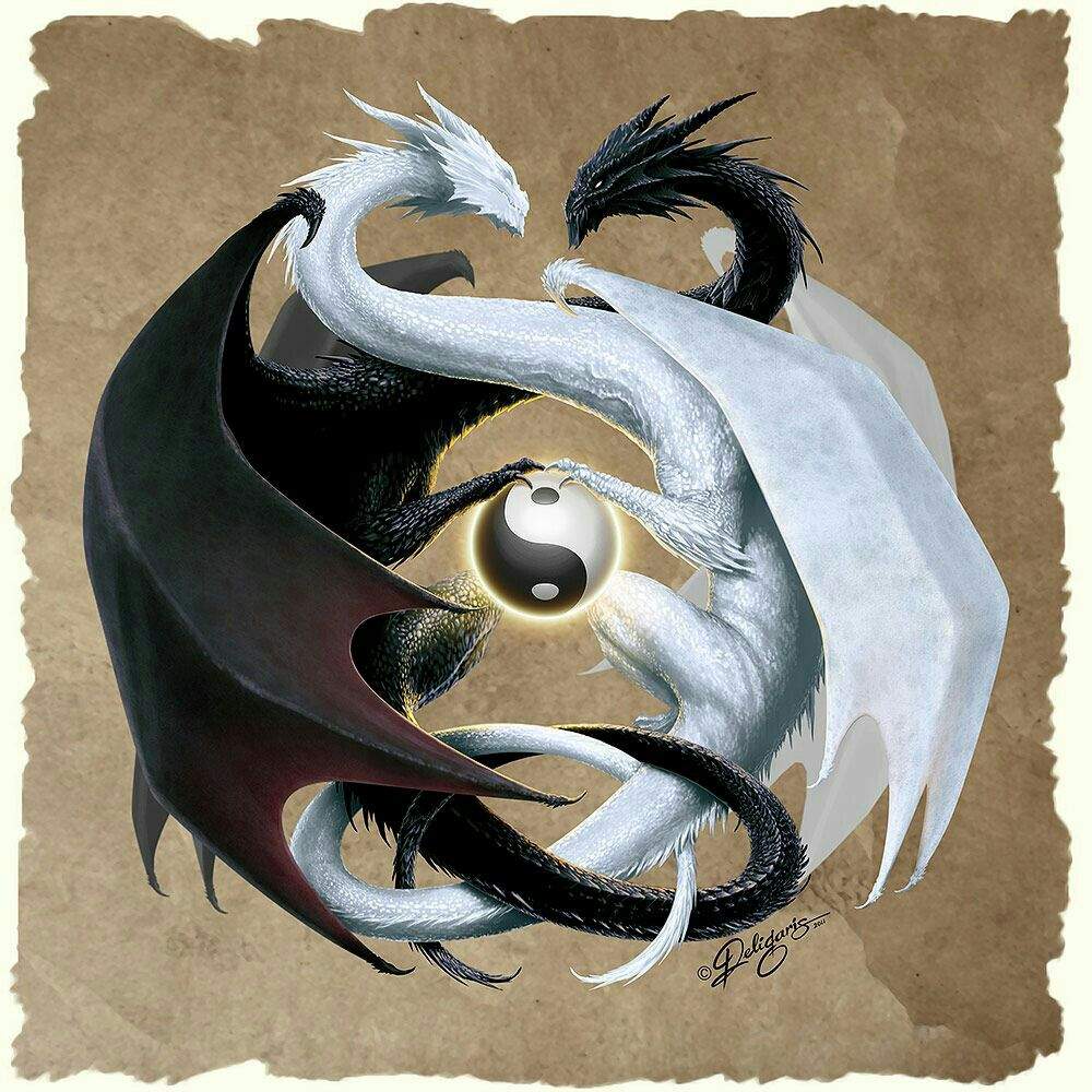 Resultado de imagen para yin yang dragones