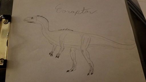 Dinosaur Drawing #91: Eoraptor | Jurassic Park Amino