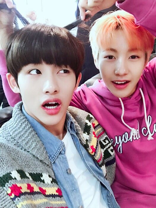 040417 NCT VYRL UPDATE - WINWIN & RENJUN | NCT (엔시티) Amino