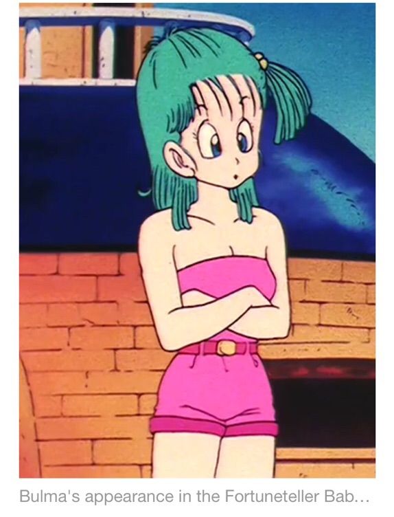 During the time, Bulma met back with Goku in West City during his time bein...