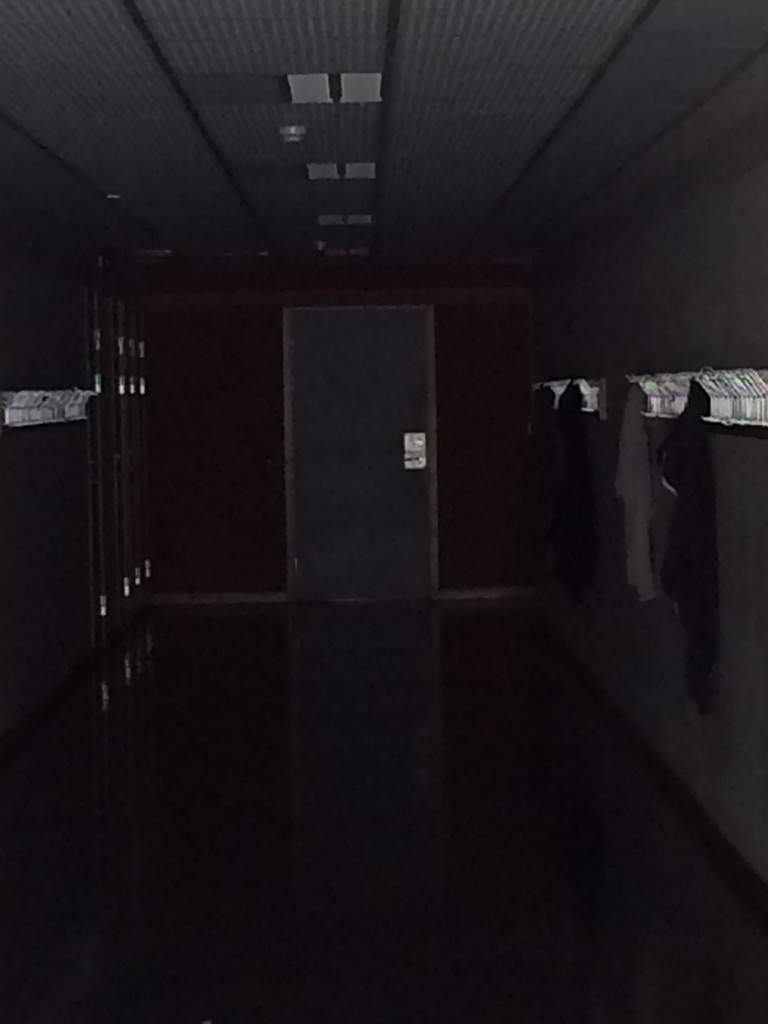 roblox id dark hallways