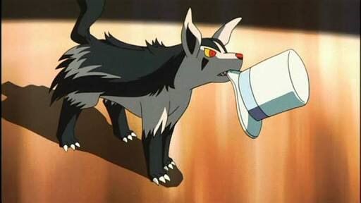 Mightyena | Wiki | Pokémon Amino