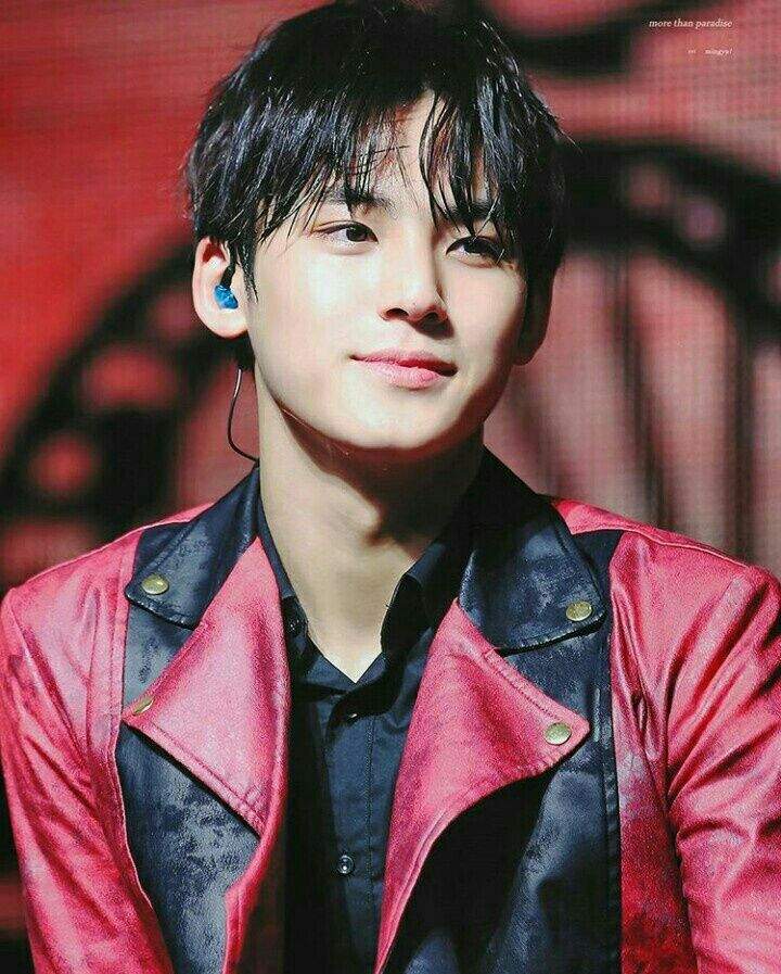 Mingyu,Seventeen | K-Pop Amino