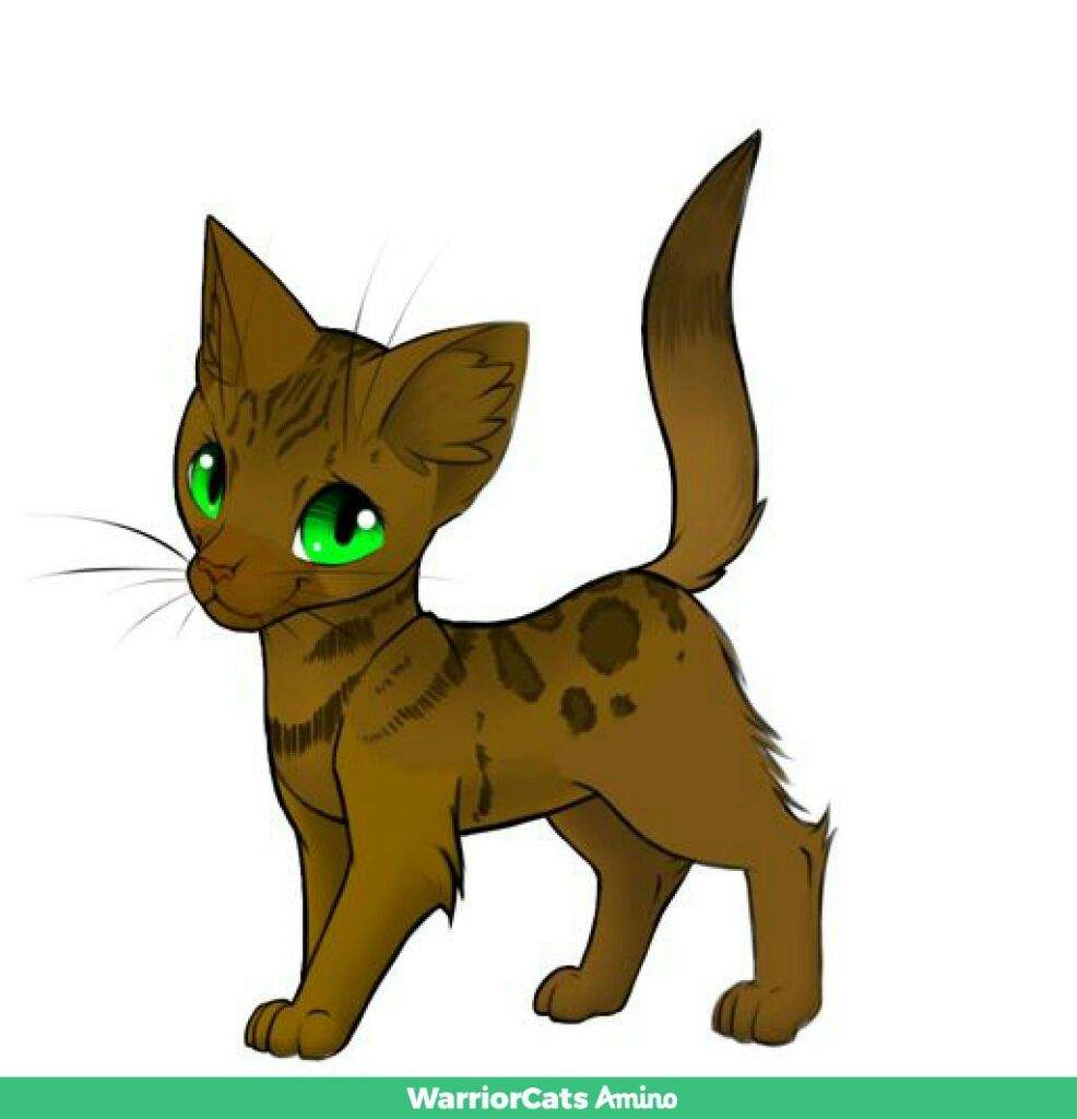 Juniperclaw | Warriors Amino