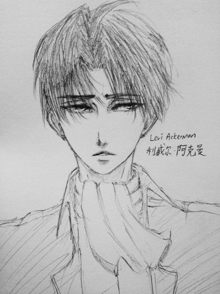 Levi Ackerman fanart | Manga Amino