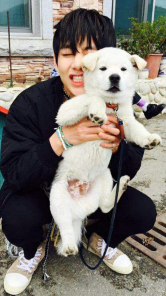 Bts Kim Taehyung Dog - caizla