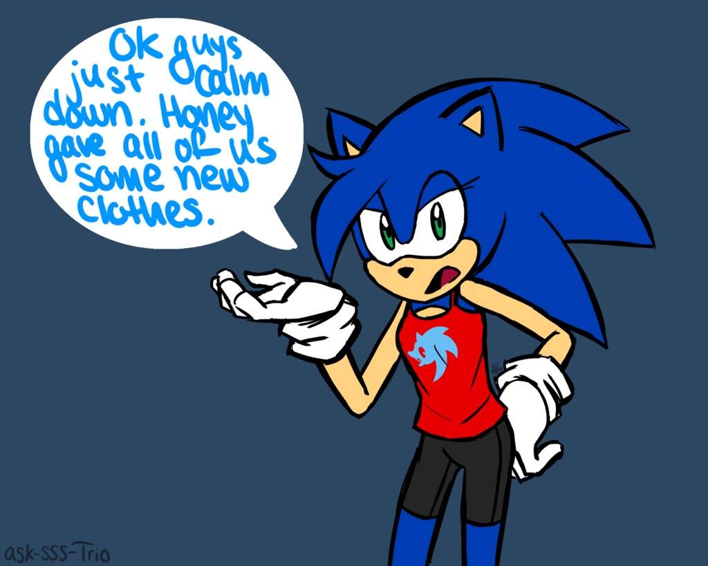 Sonic Genderbends | Wiki | Sonic the Hedgehog! Amino