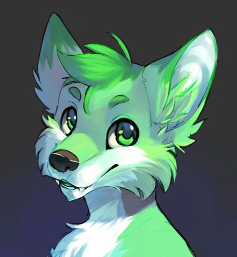 OC Description Guide | Wiki | Furry Amino