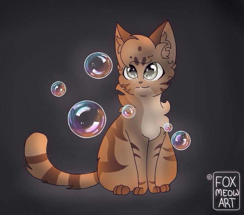 Bubbles Warrior Cats Amino Amino