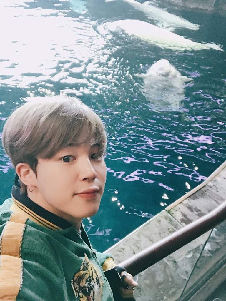 Jimin Selcas | Park Jimin Amino