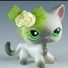 amino-MysticCat#LOVEIT-826a6b58