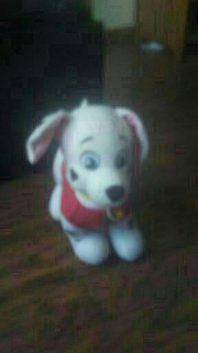 merpup marshall