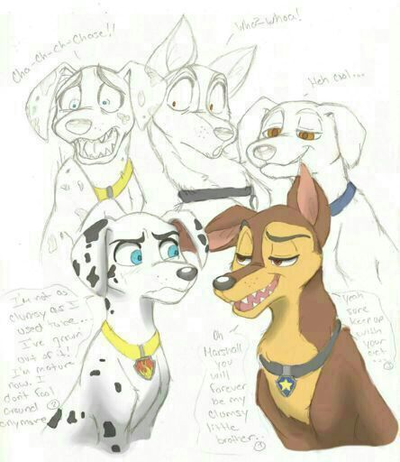 merpup marshall