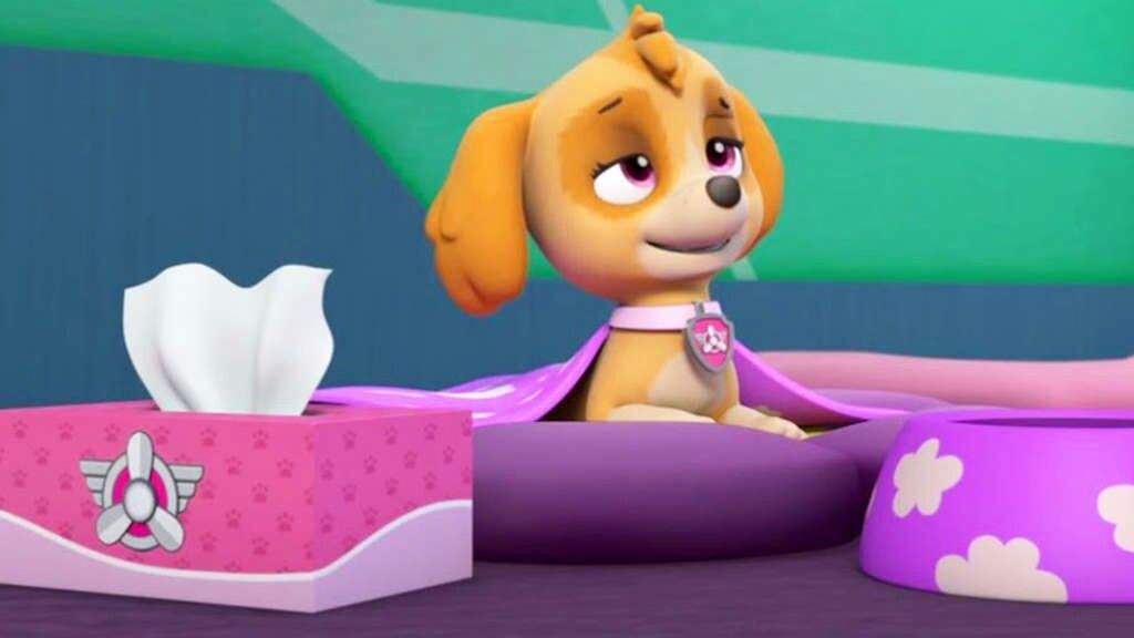 paw patrol pups save skye