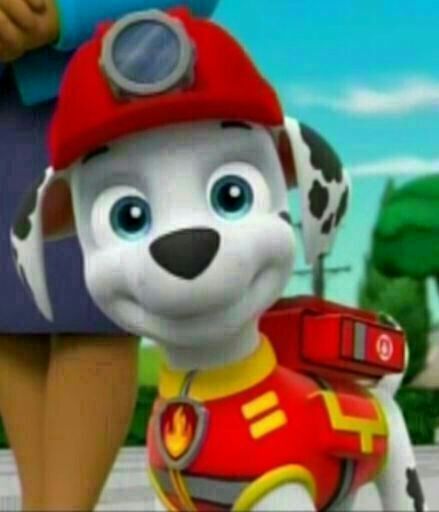 marshall paw patrol sea patrol