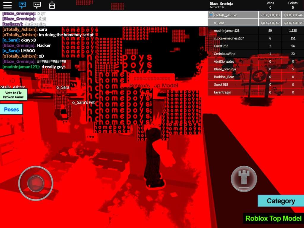 The Hacker Game In Roblox