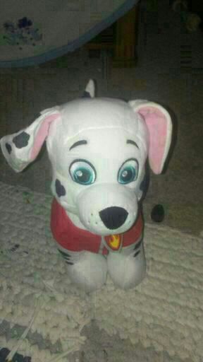 merpup marshall