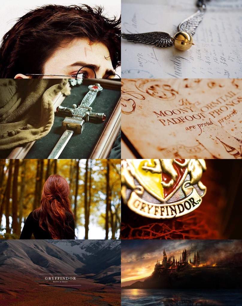 Golden Trio Aesthetics Harry Potter Amino