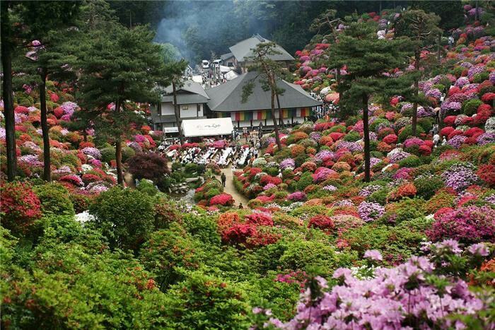 Фестиваль цветов в японии