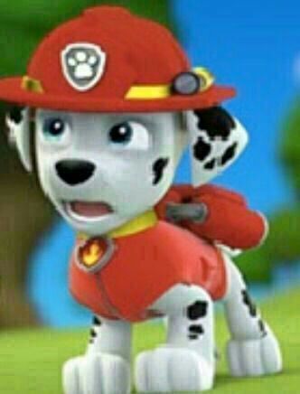 merpup marshall