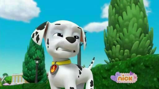 Marshall | Wiki | Paw Patrol MerPup Amino