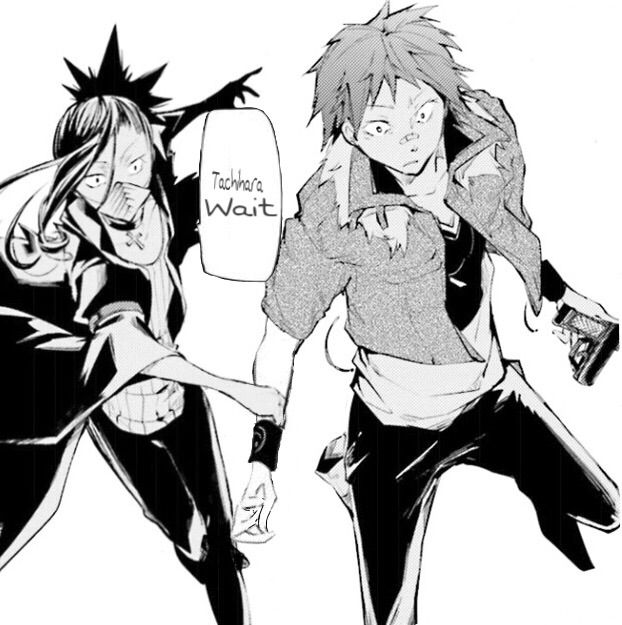 I SHIP TACHIHARA AND GIN SO MUCH Bungou Stray Dogs Amino