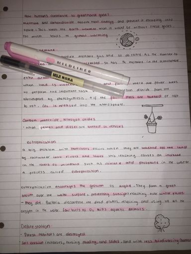 How to write CUTE but USEFUL notes | Studying Amino Amino