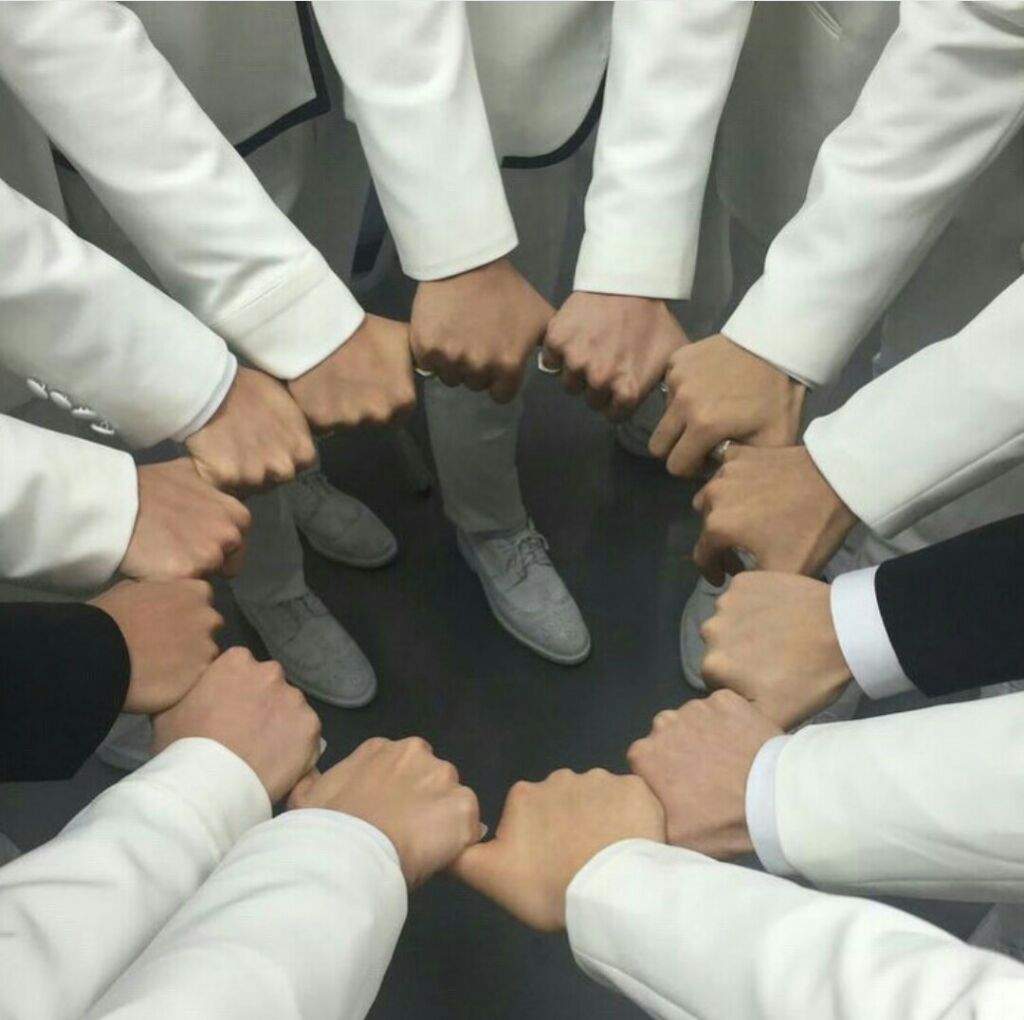 🎆Seventeen🎆 | Wiki | SEVENTEEN Español Amino