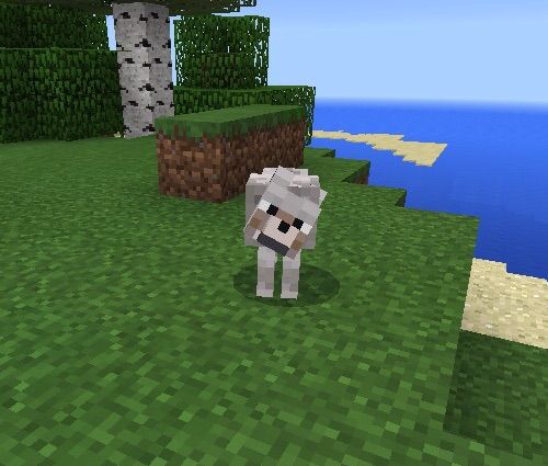 Wolfie | Wiki | Minecraft Amino