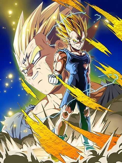 vegeta lr phy