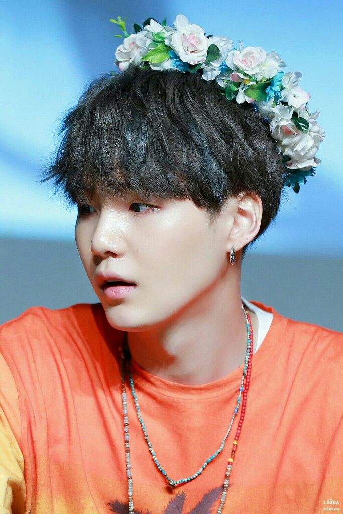 Suga in Flower Crowns, Hats ,and Headbands!! PT.2 IS NOW OUT!! | Genius ...