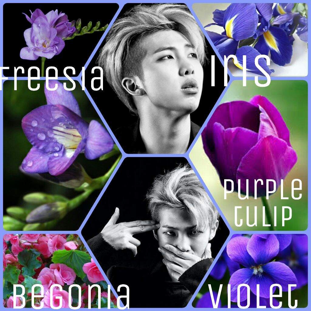 BTS as floral arrangements ARMY's Amino