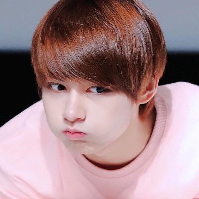 Wen Junhui Wiki K Pop Amino