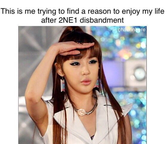 2NE1 MEMES | 2NE1 Amino