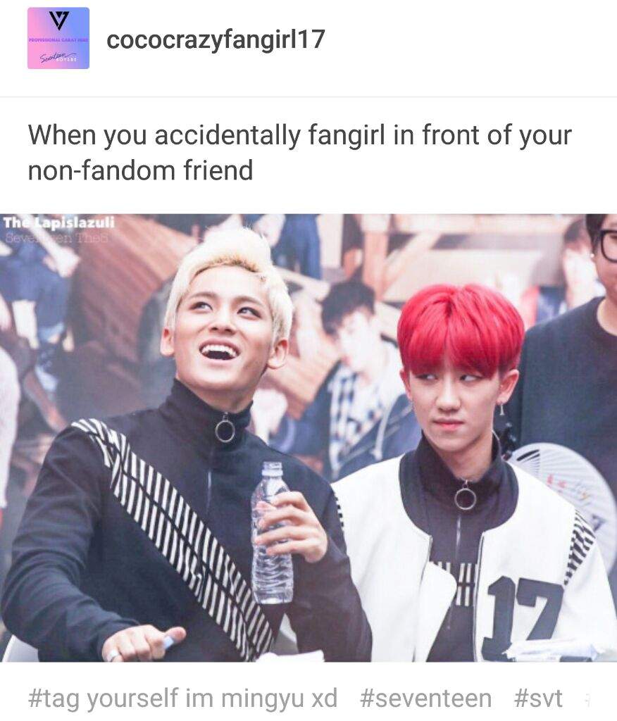 SVT memes~! | Carat 캐럿 Amino