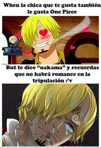 Los pinches y sexys memes dominarán el mundo Parte One Piece Amino