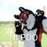 amino-Foxster the Fox-b8e5efaa