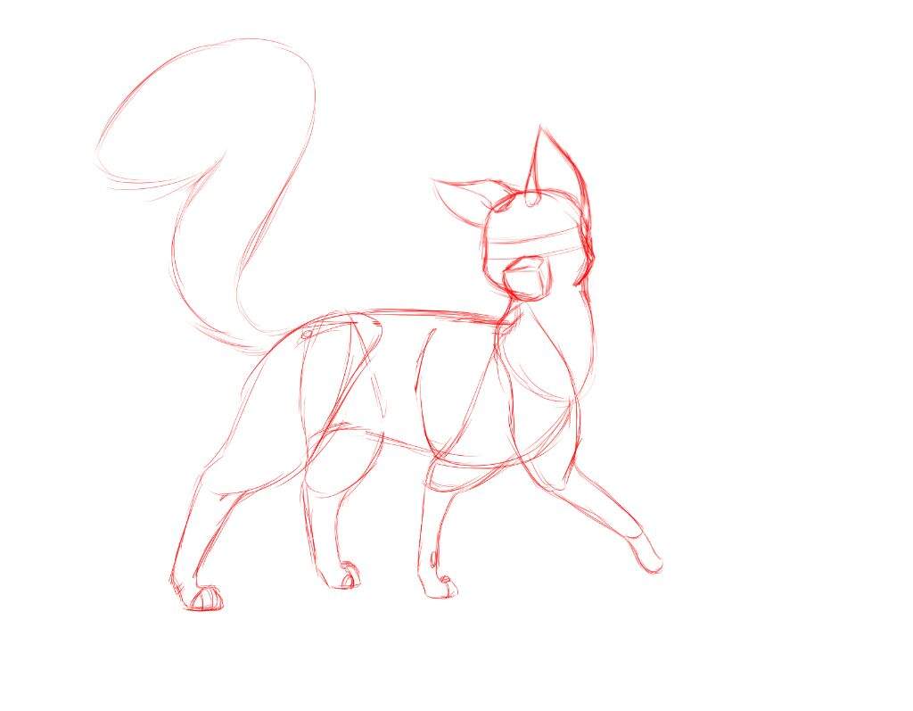 From rough lines to sketch | Warrior Cats Amino Amino