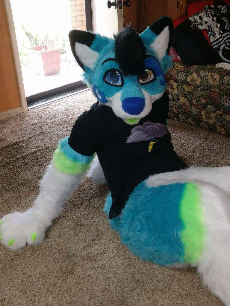 Stormi Folf | Furry Amino