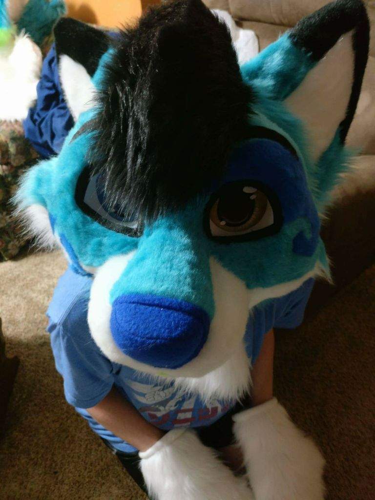 Stormi Folf | Furry Amino