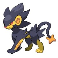 Luxray 