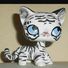 amino-MysticCat#LOVEIT-06403b83