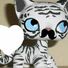 amino-MysticCat#LOVEIT-1bb96809