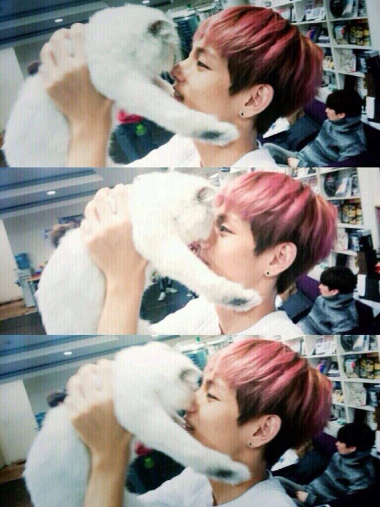 BTS AND THEIR PETS 🐶🐱 | ARMY's Amino