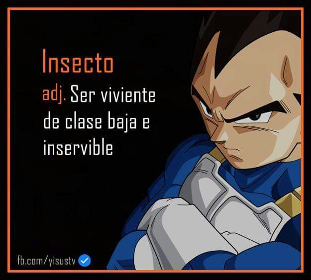 Las frases de vegeta | DRAGON BALL ESPAÑOL Amino