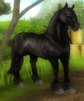 Friesian Horse | Star Stable Online Amino